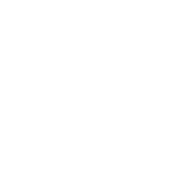 Görüntüle